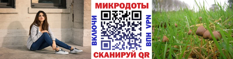 сколько стоит Учалы Галлюциногенные грибы мухоморы