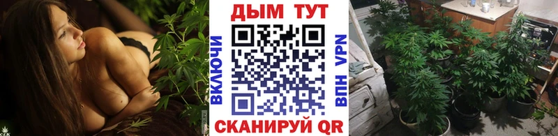 продажа наркотиков  Учалы  Бошки Шишки индика 